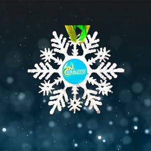 North Carolina Charlotte 49ERS Handmade Snowflake *NEW*